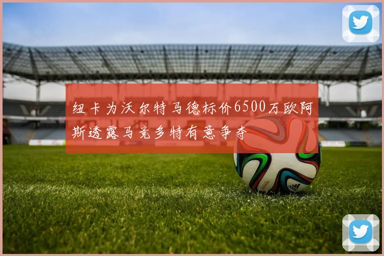 纽卡为沃尔特马德标价6500万欧阿斯透露马竞多特有意争夺